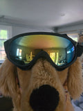 K9 Goggles