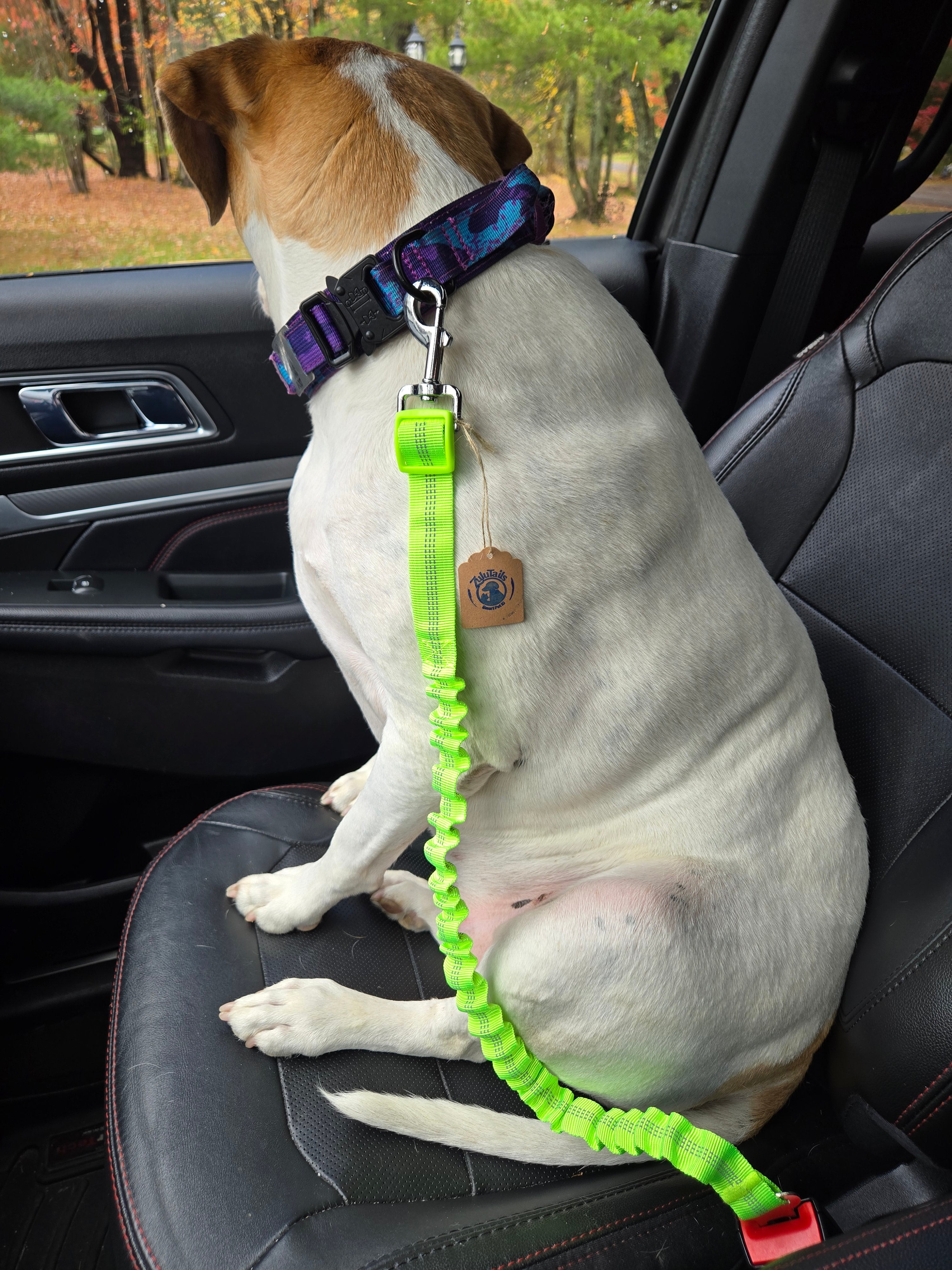 K9 Seat Buckles
