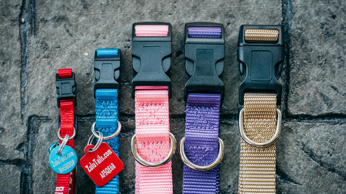 Personalized ZuluTails Collars